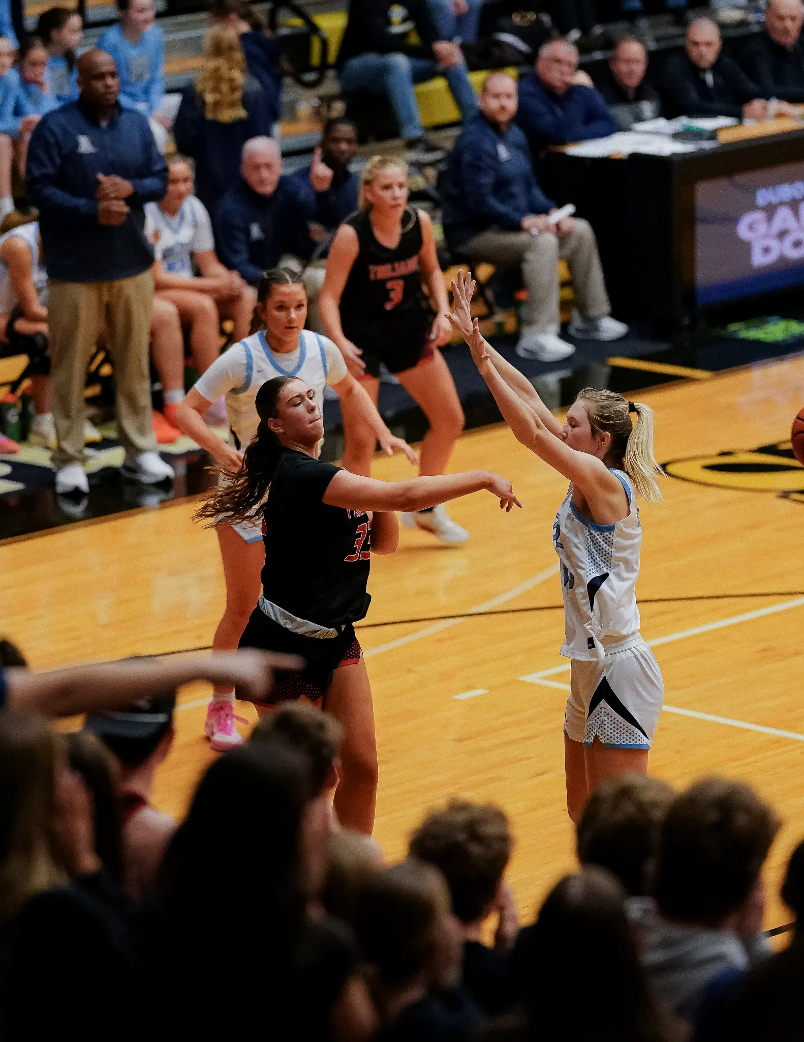 Haley Wagoner in game action